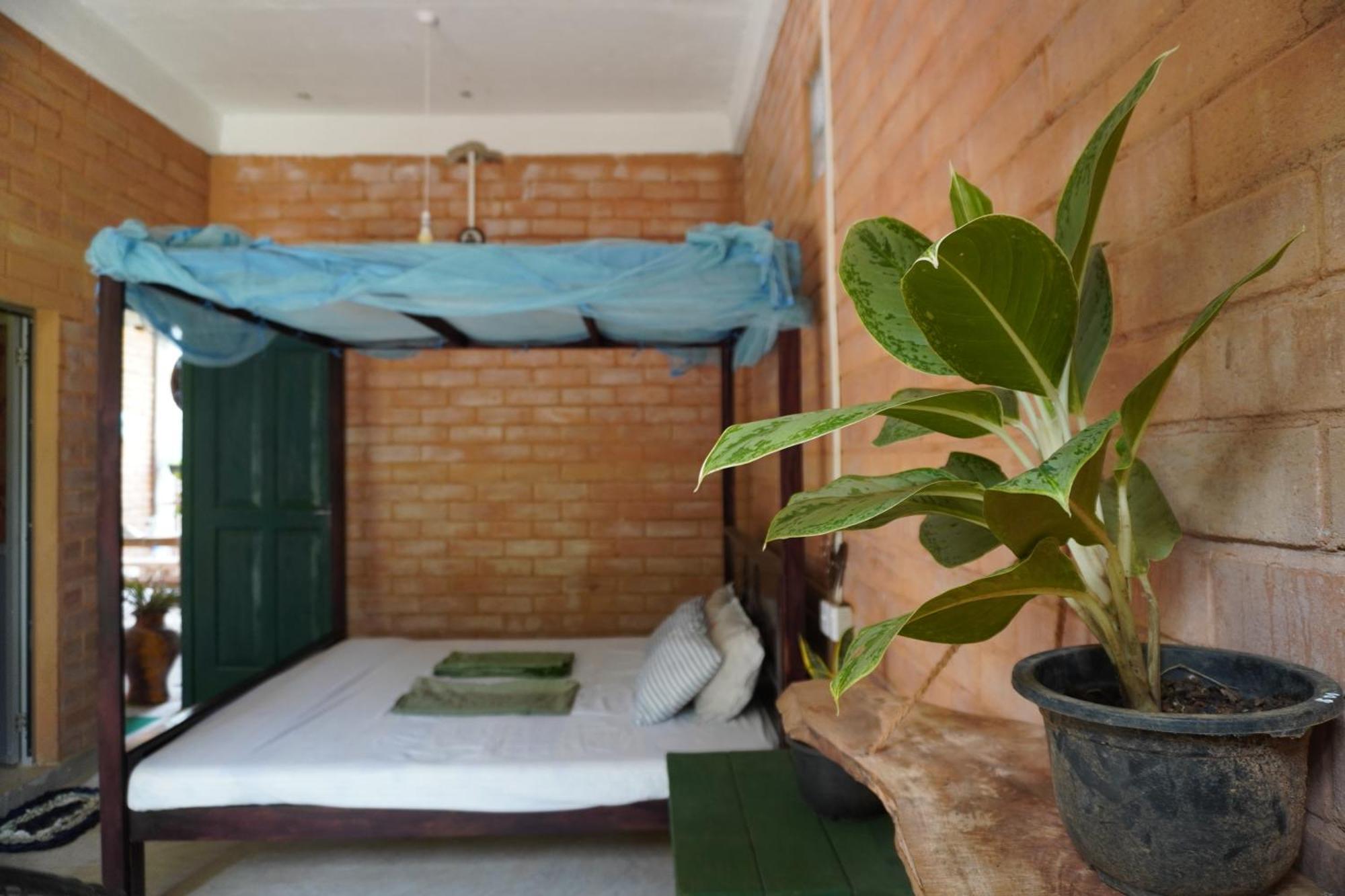 מטרה Passionfruit Homestay מראה חיצוני תמונה